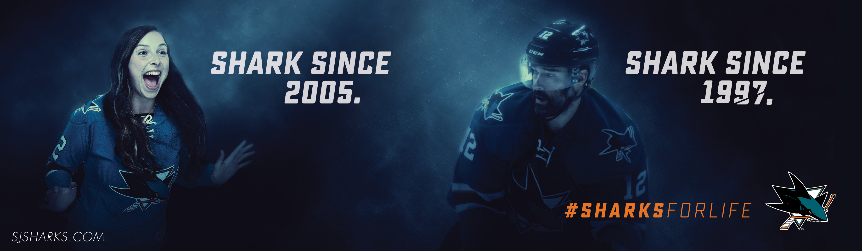 homepage image