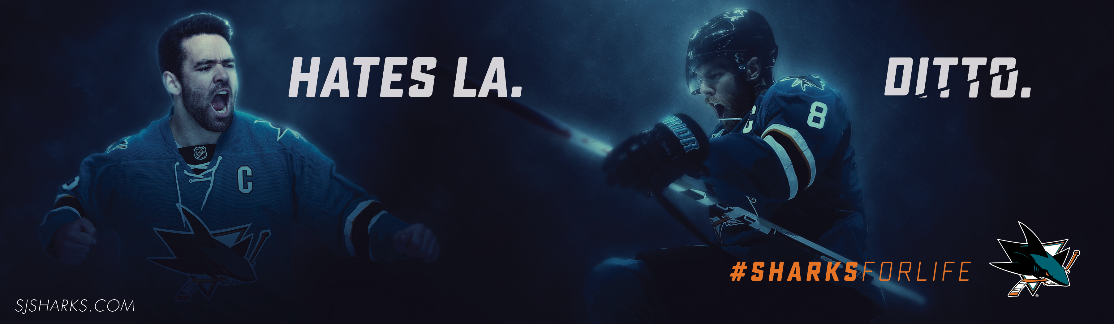homepage image